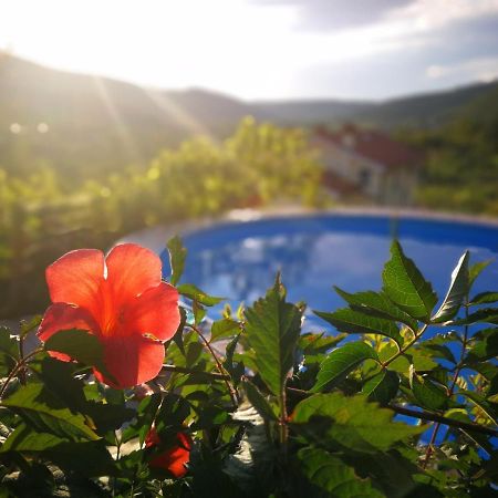 Villa Ceh Gabrovica pri Črnem Kalu Εξωτερικό φωτογραφία